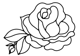 Rose 01 - Coloriages fleurs, fruits et légumes - Coloriages - 10doigts.fr